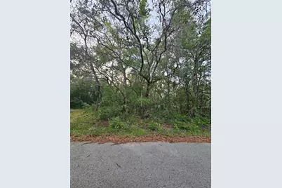 00 Doaks Street, New Port Richey, FL 34654 - Photo 1