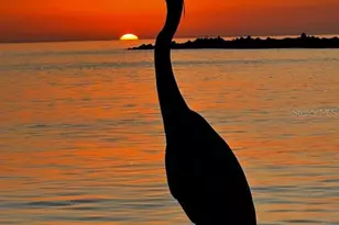 650 70th Ave, Saint Pete Beach, FL 33706 - Photo 56