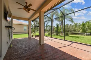 16101 Cape Coral Dr, Wimauma, FL 33598 - Photo 48