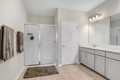 29901 Southwell Lane, Wesley Chapel, FL 33543 - Photo 6