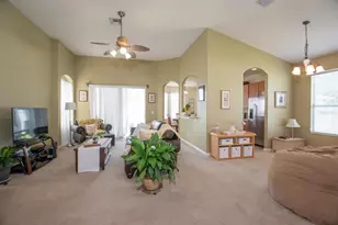 11021 Silver Dancer Dr, Riverview, FL 33579 - Photo 8