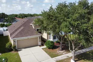 11021 Silver Dancer Dr, Riverview, FL 33579 - Photo 1
