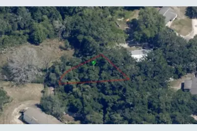 63 N Sheltering Oaks Drive, Inverness, FL 34453 - Photo 20