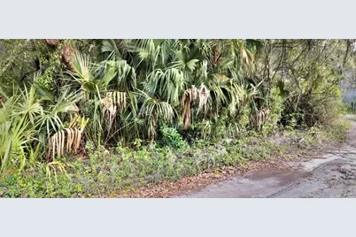 63 N Sheltering Oaks Drive, Inverness, FL 34453 - Photo 6