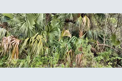 63 N Sheltering Oaks Drive, Inverness, FL 34453 - Photo 14