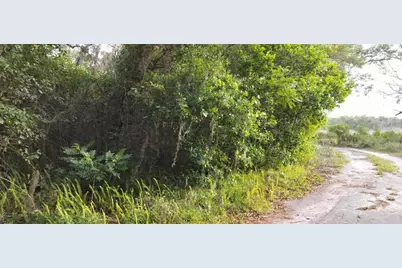 63 N Sheltering Oaks Drive, Inverness, FL 34453 - Photo 2