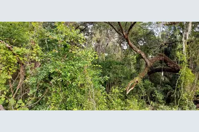 63 N Sheltering Oaks Drive, Inverness, FL 34453 - Photo 18