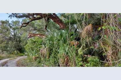 63 N Sheltering Oaks Drive, Inverness, FL 34453 - Photo 12