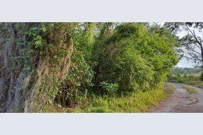 63 N Sheltering Oaks Drive, Inverness, FL 34453 - Photo 8