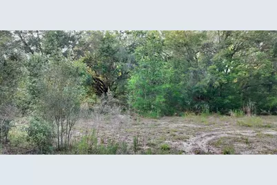 2608 Polk Street, Inverness, FL 34453 - Photo 4