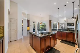 3727 Janus Way, Palm Harbor, FL 34685 - Photo 14
