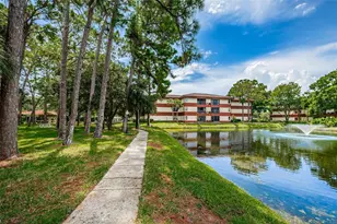 2650 Countryside Blvd, Clearwater, FL 33761 - Photo 66