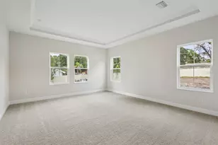 4630 Cedar Fog Ct Dr, Valrico, FL 33596 - Photo 4