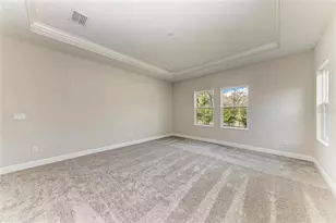 4630 Cedar Fog Ct Dr, Valrico, FL 33596 - Photo 22