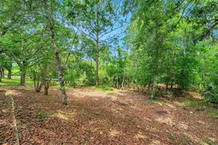 19156 Dove Creek Dr, Tampa, FL 33647 - Photo 12