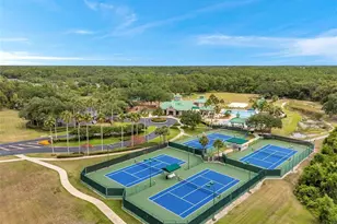 19156 Dove Creek Dr, Tampa, FL 33647 - Photo 74