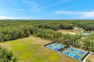 19156 Dove Creek Dr, Tampa, FL 33647 - Photo 90