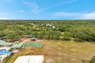 19156 Dove Creek Dr, Tampa, FL 33647 - Photo 62