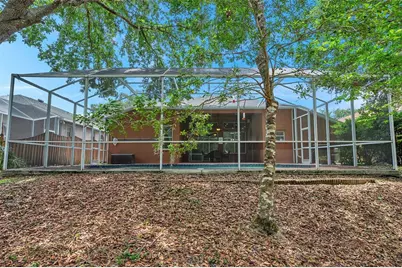 19156 Dove Creek Drive, Tampa, FL 33647 - Photo 8