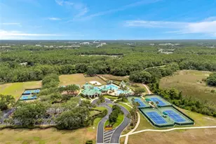 19156 Dove Creek Dr, Tampa, FL 33647 - Photo 54