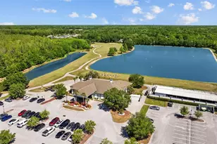 25942 Risen Star Dr, Wesley Chapel, FL 33544 - Photo 46