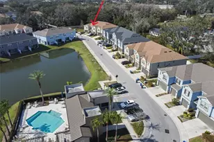 6745 Citrus Creek Ln, Tampa, FL 33625 - Photo 60