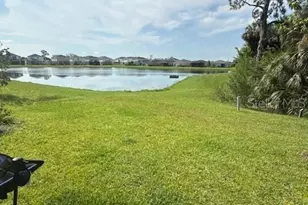 10607 Ladybug Cv, Parrish, FL 34219 - Photo 6
