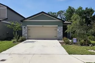 10607 Ladybug Cv, Parrish, FL 34219 - Photo 2