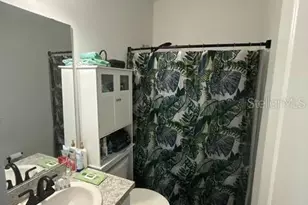 10607 Ladybug Cv, Parrish, FL 34219 - Photo 18