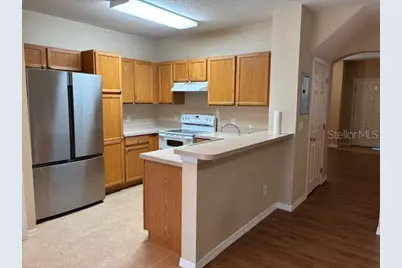 3336 Santa Rita Lane, Land O Lakes, FL 34639 - Photo 10