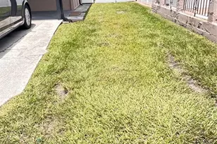 4812 Bonita Vista Dr, Tampa, FL 33634 - Photo 22