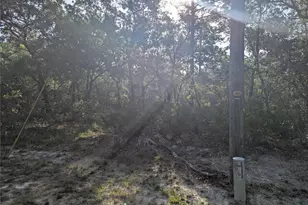 19036 Retriever Rd, Brooksville, FL 34614 - Photo 1