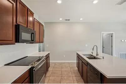 10326 Boggy Moss Drive, Riverview, FL 33578 - Photo 12