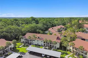 1801 E Lake Rd, Palm Harbor, FL 34685 - Photo 46