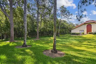 1801 E Lake Rd, Palm Harbor, FL 34685 - Photo 34