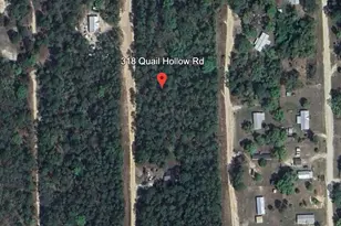 318 Quail Hollow Rd, Satsuma, FL 32189 - Photo 1