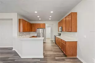 7412 Bridgeview Dr, Wesley Chapel, FL 33545 - Photo 4