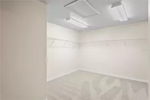 7249 Bridgeview Dr, Wesley Chapel, FL 33545 - Photo 16