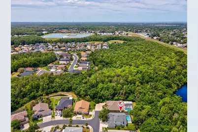 7935 Calindra Court, Trinity, FL 34655 - Photo 50