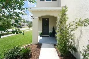 10826 Trailing Vine Dr, Tampa, FL 33610 - Photo 6