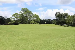 12808 Killarney Ct, Odessa, FL 33556 - Photo 44