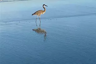 100 Bluff View Dr, Belleair Bluffs, FL 33770 - Photo 44