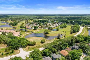 5160 Loquat Ct, Palm Harbor, FL 34685 - Photo 64