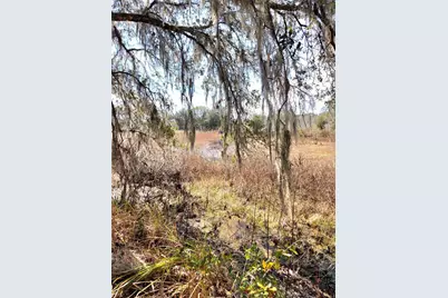 359 Savannah Oaks Drive, Brooksville, FL 34602 - Photo 12