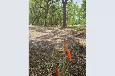 359 Savannah Oaks Drive, Brooksville, FL 34602 - Photo 8