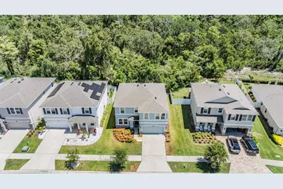 8208 Praise Drive, Tampa, FL 33625 - Photo 4
