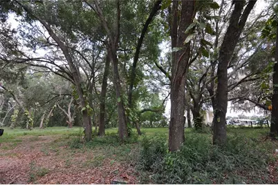 6734 20th Street, Zephyrhills, FL 33542 - Photo 6