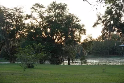 22839 Bungalow Lane, Land O Lakes, FL 34639 - Photo 8
