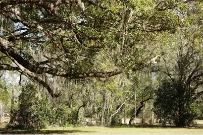 22839 Bungalow Lane, Land O Lakes, FL 34639 - Photo 18