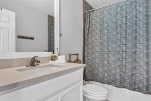 28809 S Orange Berry Dr S, Wesley Chapel, FL 33543 - Photo 30